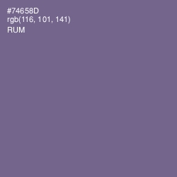 #74658D - Rum Color Image