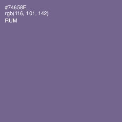 #74658E - Rum Color Image