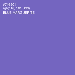 #7465C1 - Blue Marguerite Color Image