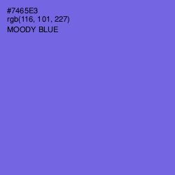 #7465E3 - Moody Blue Color Image