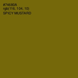 #74680A - Spicy Mustard Color Image