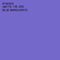 #7469CA - Blue Marguerite Color Image