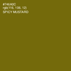 #746A0C - Spicy Mustard Color Image