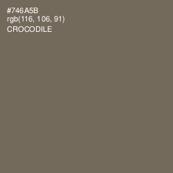 #746A5B - Crocodile Color Image