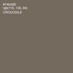 #746A5E - Crocodile Color Image
