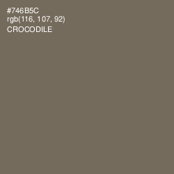 #746B5C - Crocodile Color Image