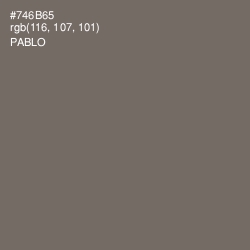 #746B65 - Pablo Color Image