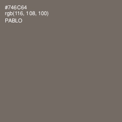 #746C64 - Pablo Color Image