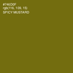 #746D0F - Spicy Mustard Color Image