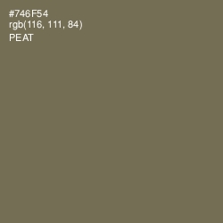 #746F54 - Peat Color Image