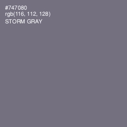 #747080 - Storm Gray Color Image