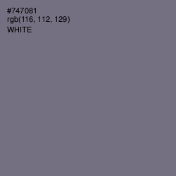 #747081 - Storm Gray Color Image