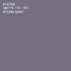 #747082 - Storm Gray Color Image