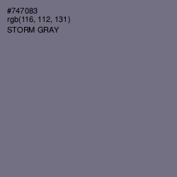 #747083 - Storm Gray Color Image