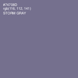 #74708D - Storm Gray Color Image