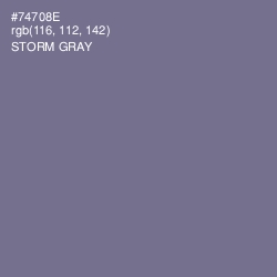 #74708E - Storm Gray Color Image