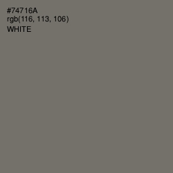 #74716A - Limed Ash Color Image