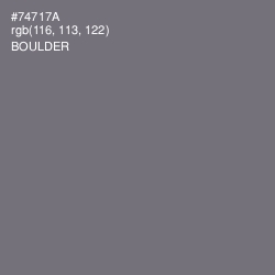 #74717A - Boulder Color Image