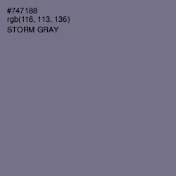 #747188 - Storm Gray Color Image