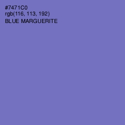 #7471C0 - Blue Marguerite Color Image