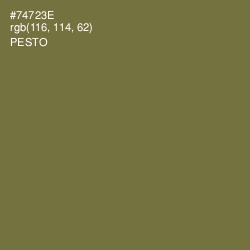 #74723E - Pesto Color Image
