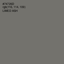 #74726D - Limed Ash Color Image