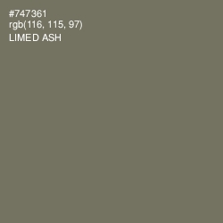 #747361 - Limed Ash Color Image
