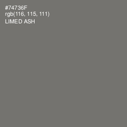 #74736F - Limed Ash Color Image