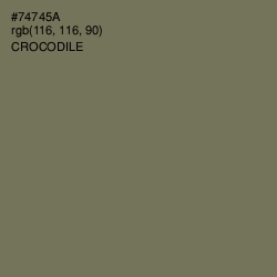 #74745A - Crocodile Color Image