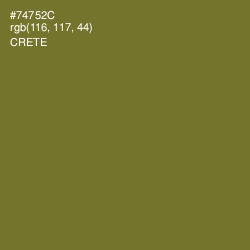 #74752C - Crete Color Image