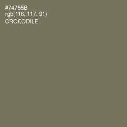 #74755B - Crocodile Color Image