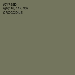 #74755D - Crocodile Color Image