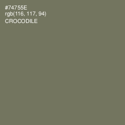 #74755E - Crocodile Color Image
