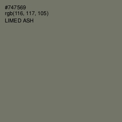 #747569 - Limed Ash Color Image