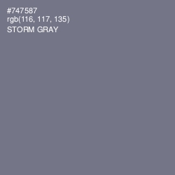 #747587 - Storm Gray Color Image