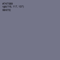 #747589 - Storm Gray Color Image