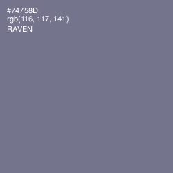 #74758D - Raven Color Image