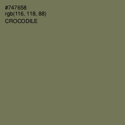 #747658 - Crocodile Color Image