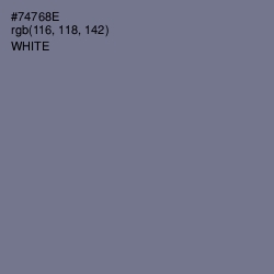 #74768E - Raven Color Image