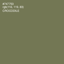 #747753 - Crocodile Color Image