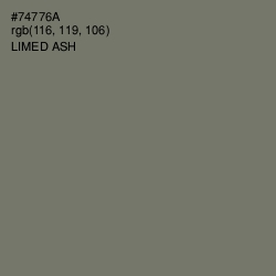 #74776A - Limed Ash Color Image