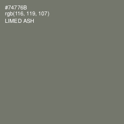 #74776B - Limed Ash Color Image