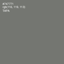 #747771 - Tapa Color Image