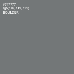 #747777 - Boulder Color Image