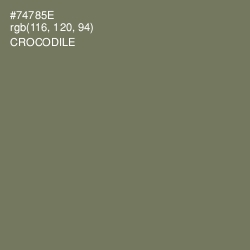 #74785E - Crocodile Color Image
