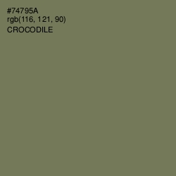 #74795A - Crocodile Color Image