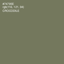 #74795E - Crocodile Color Image