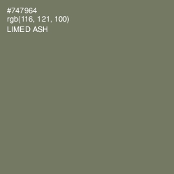#747964 - Limed Ash Color Image