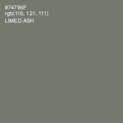 #74796F - Limed Ash Color Image