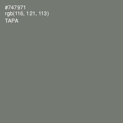 #747971 - Tapa Color Image